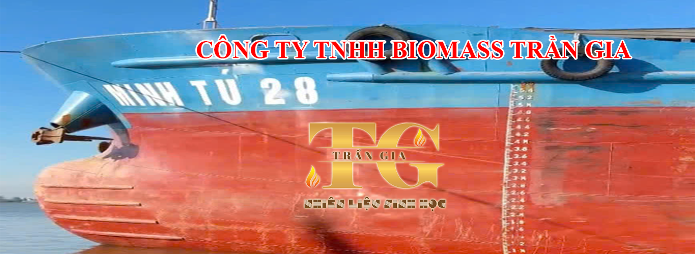Nhà cung cấp củi trấu